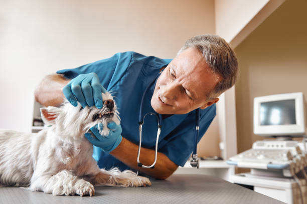 Best Emergency Root Canal Therapy in The Hideout, PA